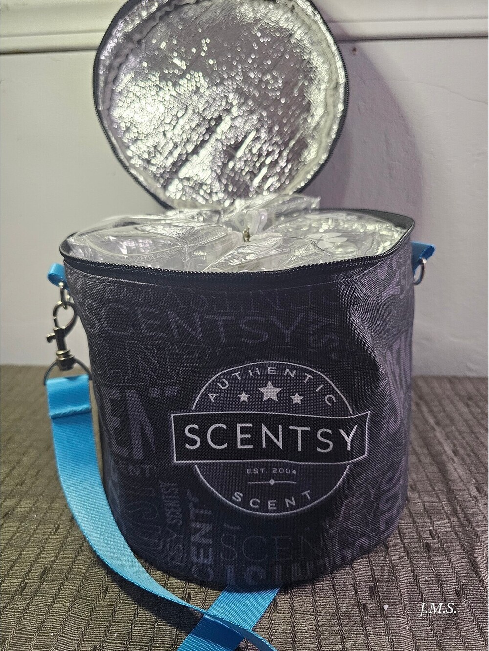 "Say It With Scentsy" Cooler Bag